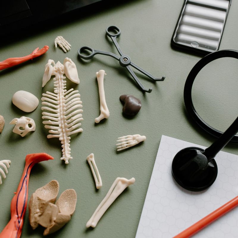 Instalaciones CENafu